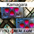 Kamagara 14